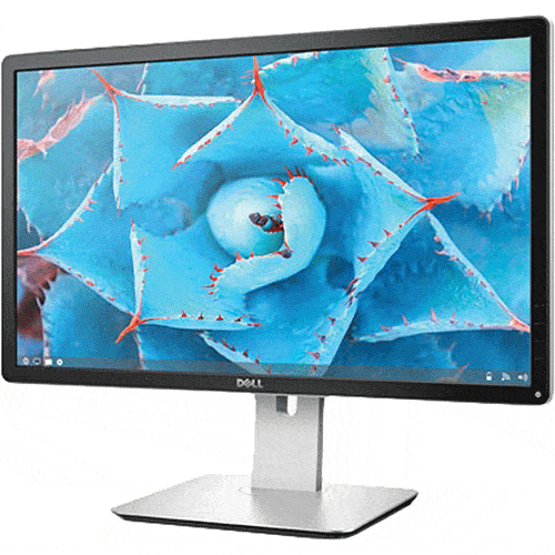 24&rdquo; Dell P2415Q for rent