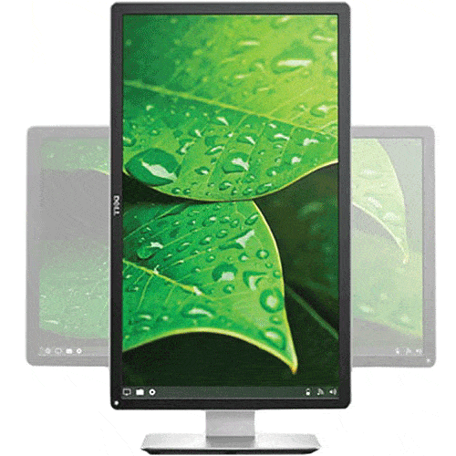 24&rdquo; Dell P2415Q for rent