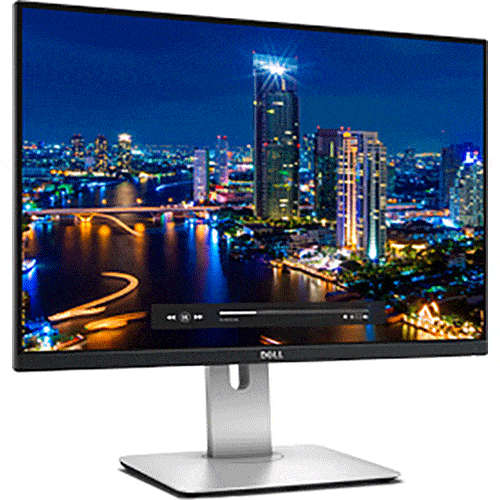 24&rdquo; Dell U2415 for rent