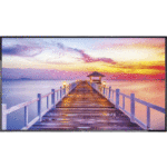 42&rdquo; NEC E425 for rent