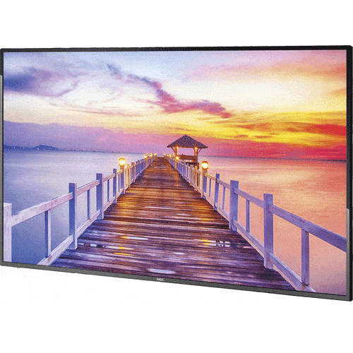 42&rdquo; NEC E425 for rent